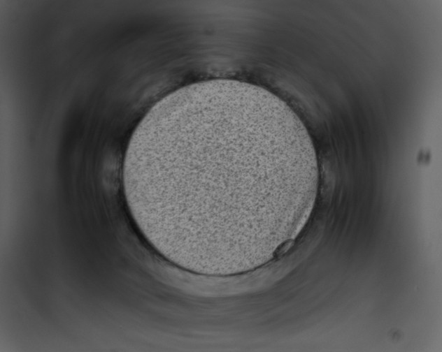 X0000100860034200807181146