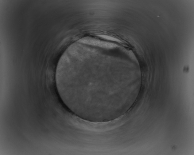 X0000100860035200807181146