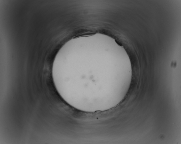 X0000100860037200807181146