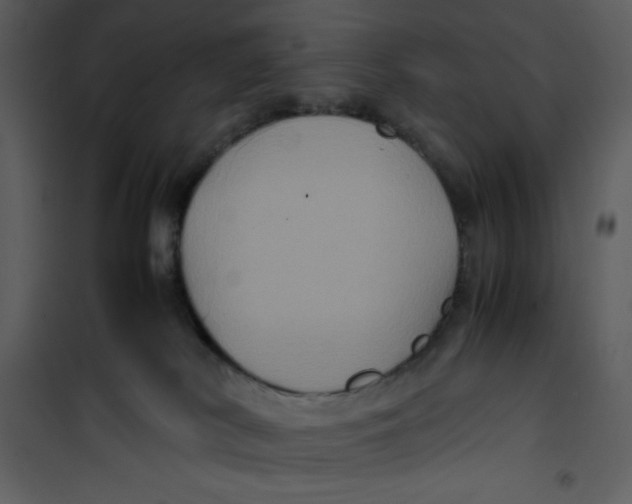 X0000100860038200807181146