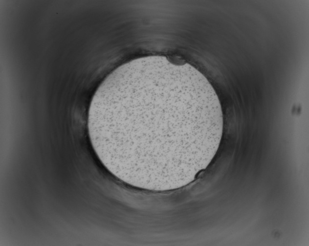 X0000100860040200807181146