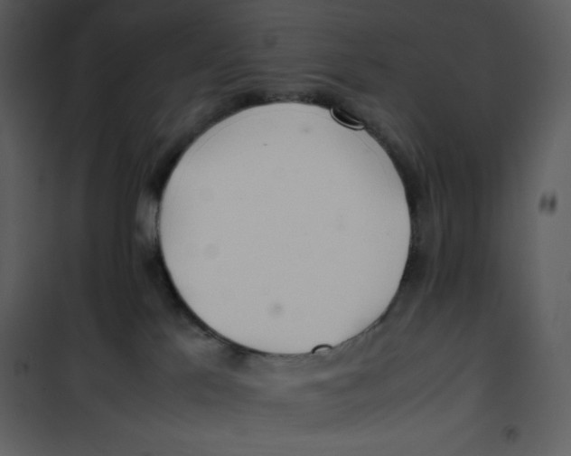 X0000100860041200807181146