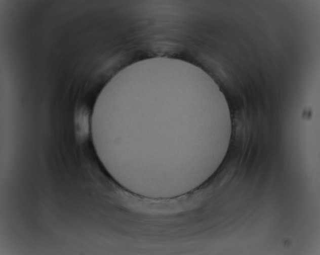 X0000100860042200807181146