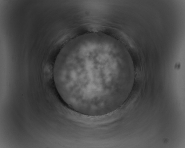 X0000100860043200807181146