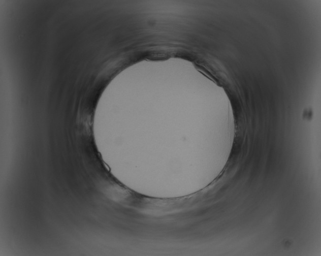 X0000100860045200807181146