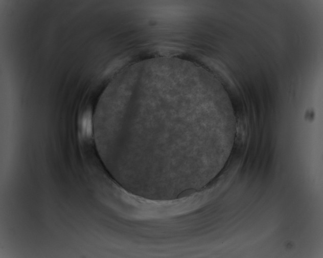 X0000100860046200807181146