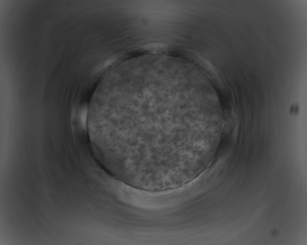 X0000100860047200807181146