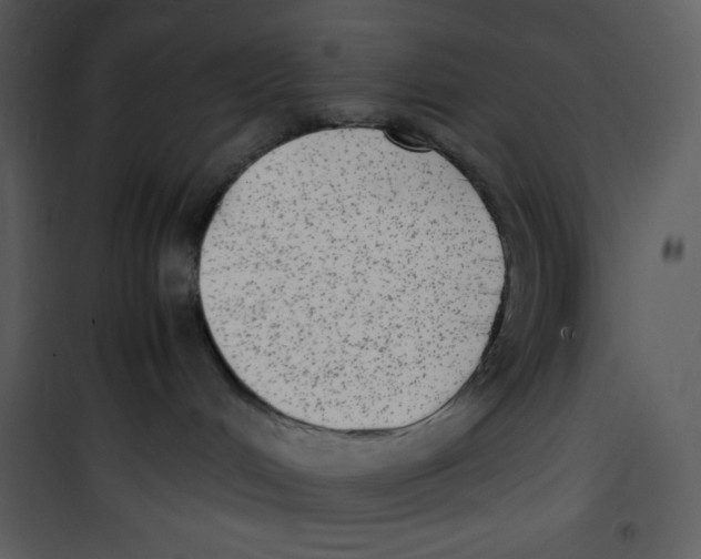 X0000100860048200807181146