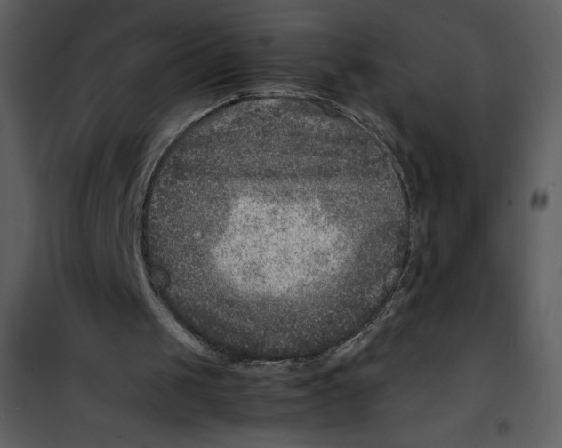 X0000100860049200807181145