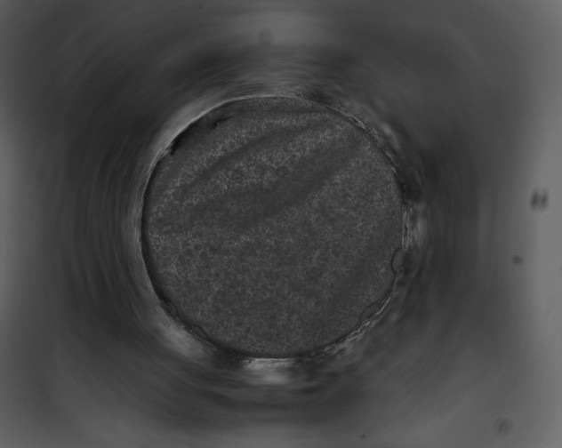 X0000100860051200807181145