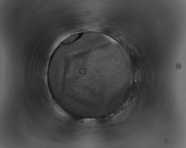 X0000100860052200807181145