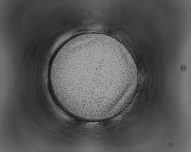 X0000100860054200807181145