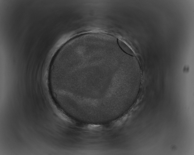 X0000100860055200807181145