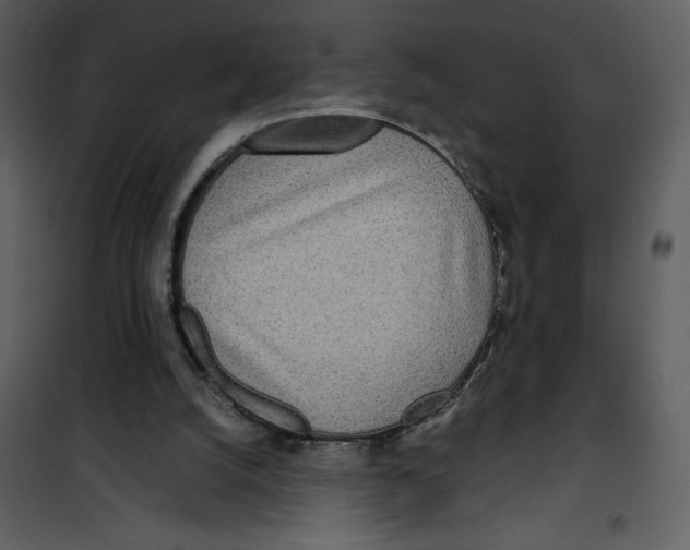 X0000100860056200807181145