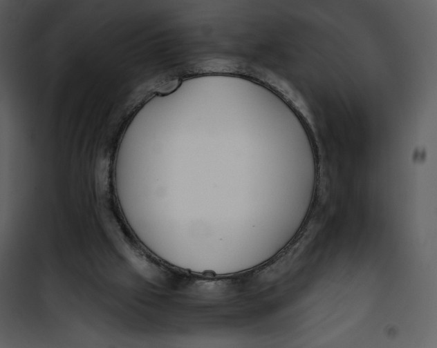 X0000100860057200807181145