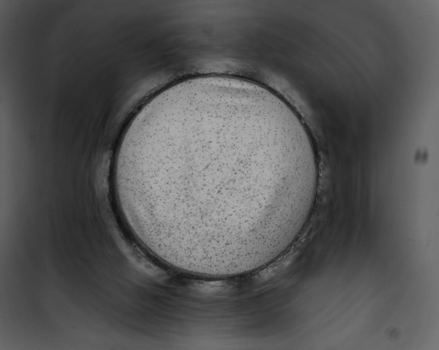 X0000100860058200807181145