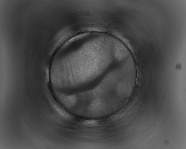 X0000100860061200807181145