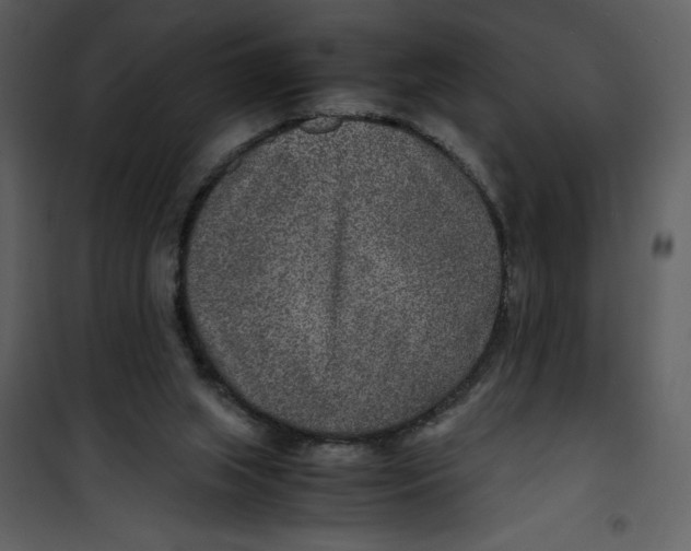 X0000100860063200807181145