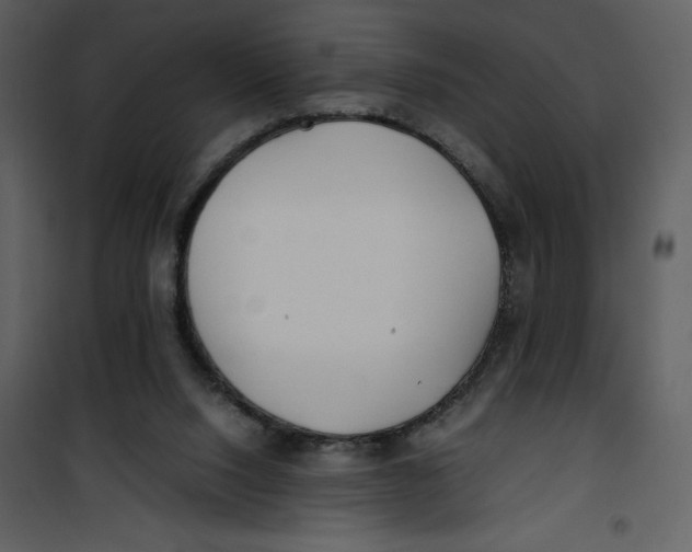 X0000100860064200807181145