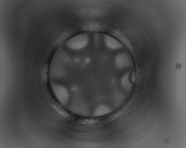 X0000100860065200807181145