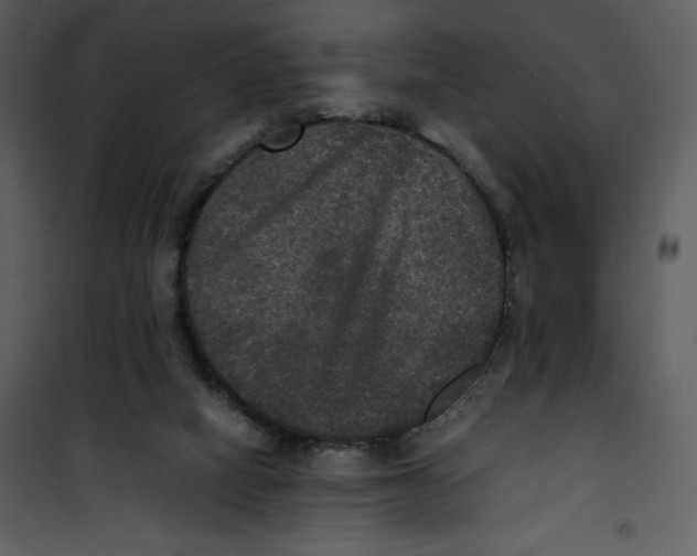 X0000100860066200807181146