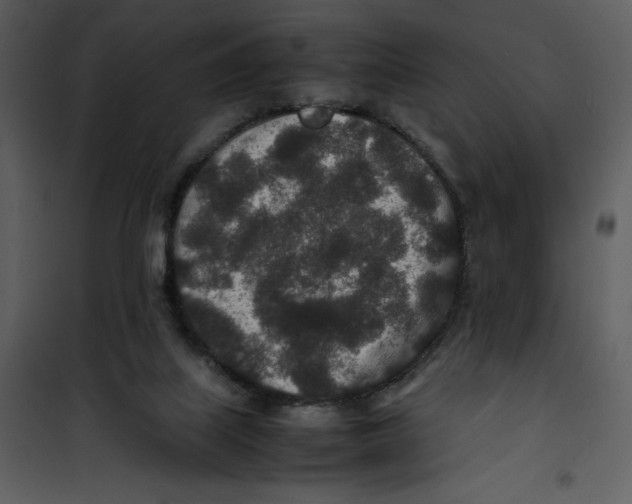 X0000100860067200807181146