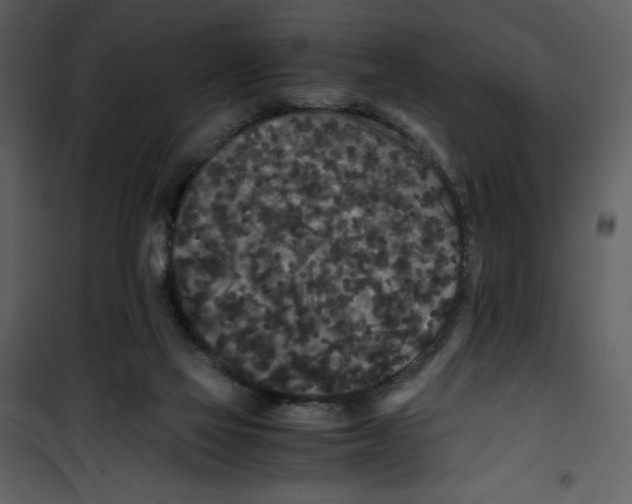 X0000100860069200807181146