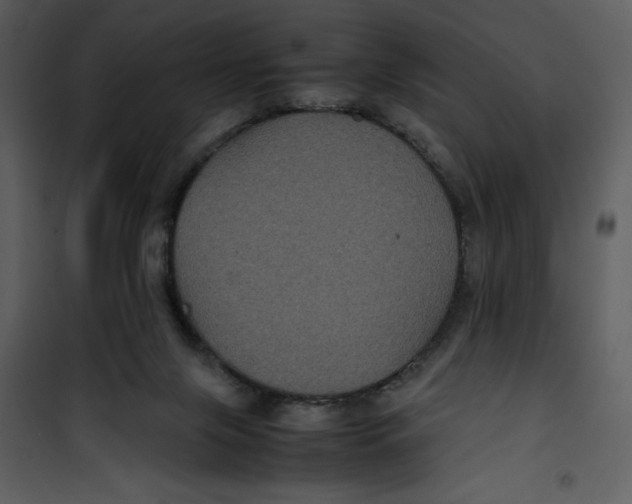 X0000100860071200807181146