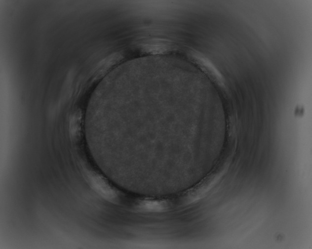 X0000100860073200807181146