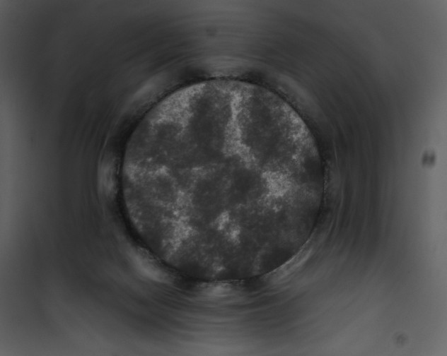 X0000100860074200807181146