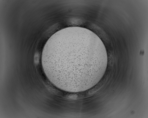 X0000100860075200807181146