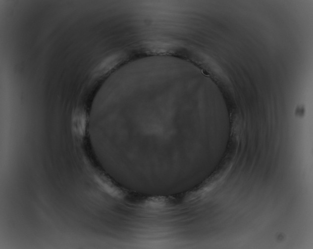 X0000100860076200807181146