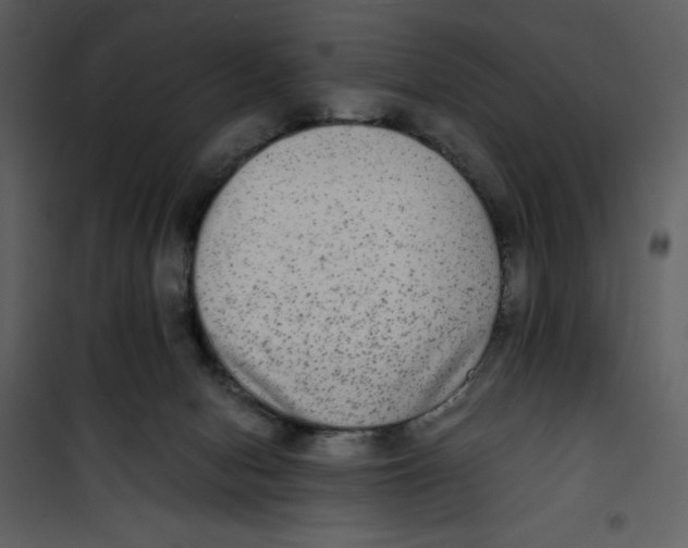 X0000100860078200807181146