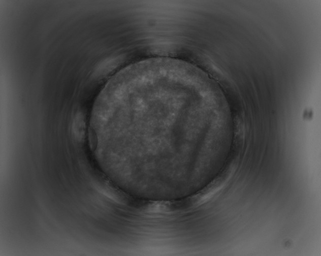 X0000100860080200807181146