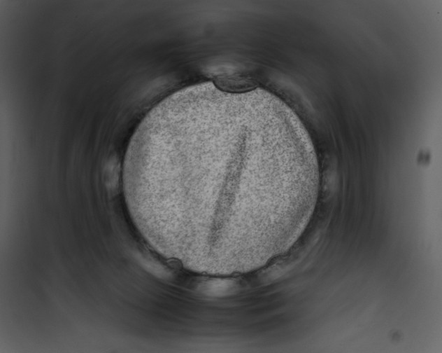 X0000100860081200807181146