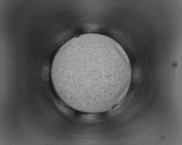 X0000100860082200807181146