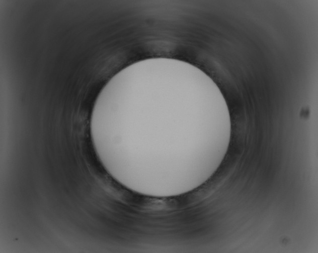 X0000100860083200807181146