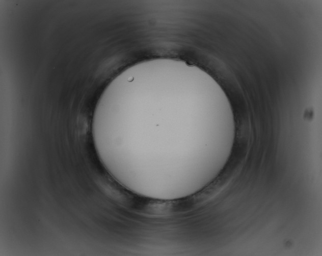 X0000100860084200807181146