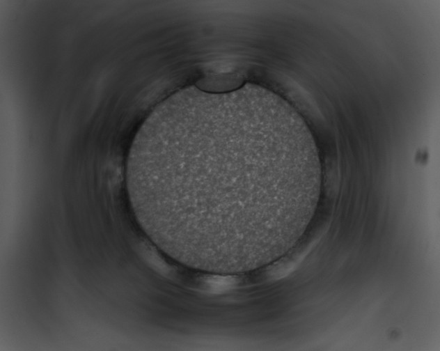 X0000100860085200807181146