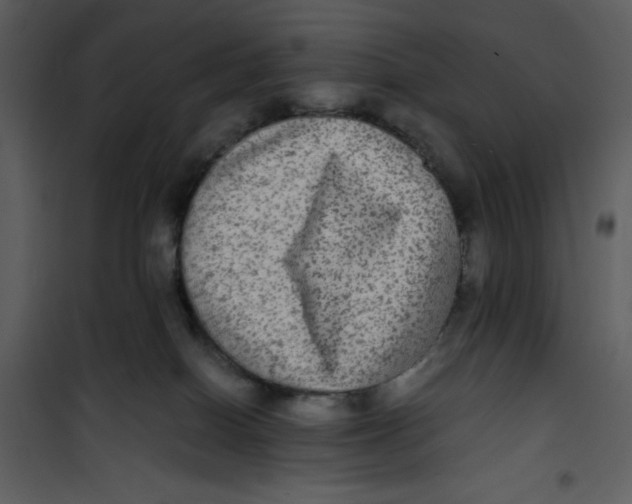 X0000100860086200807181146