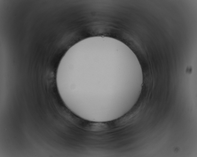 X0000100860087200807181146