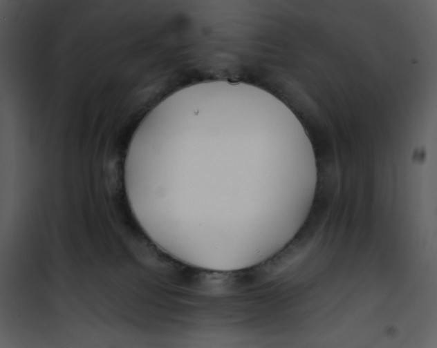 X0000100860088200807181146