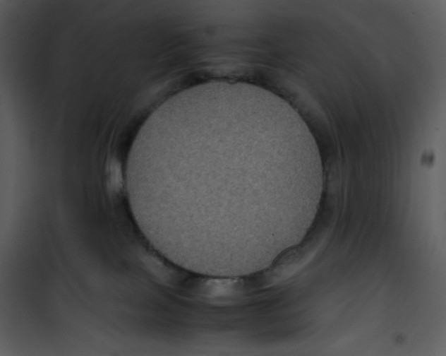 X0000100860089200807181146