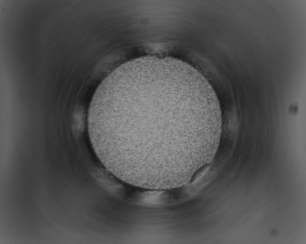 X0000100860090200807181146