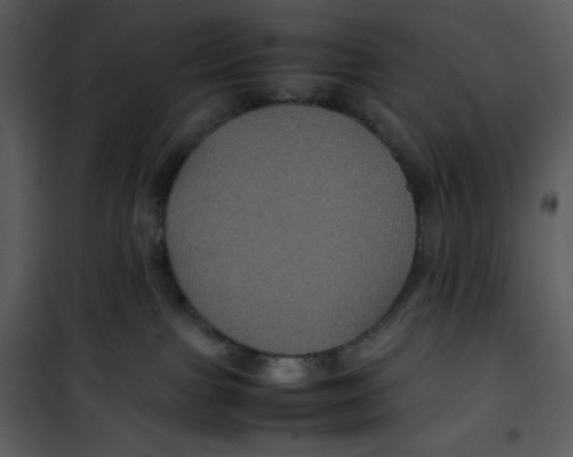 X0000100860091200807181146