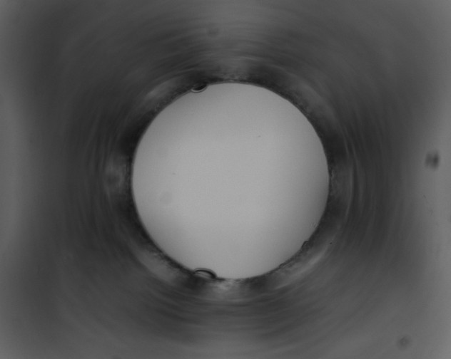 X0000100860092200807181146