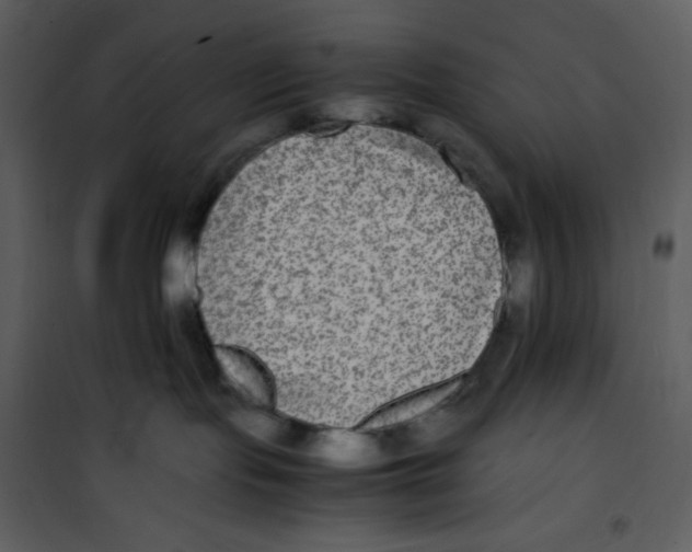 X0000100860095200807181146