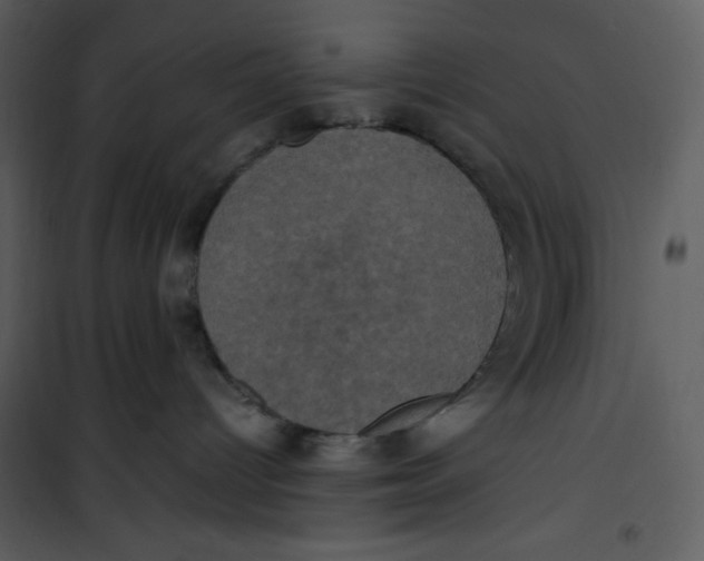 X0000100860096200807181146