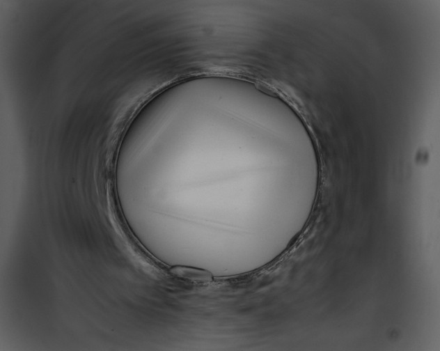 X0000100860097200807181145