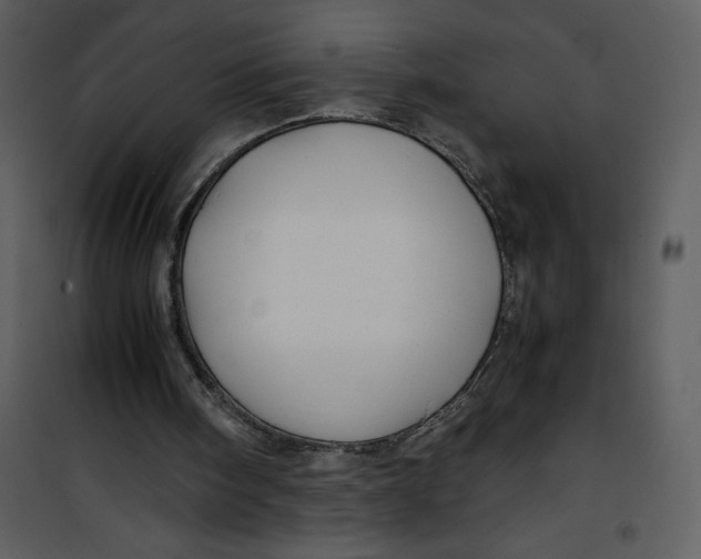 X0000100860098200807181145